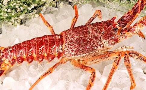 �и���С��Ϻ�᲻�ᵼ��̥������