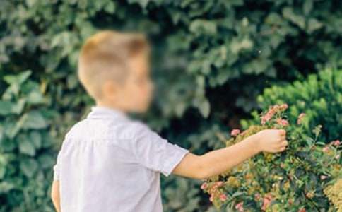 怀男孩的孕妇不易健忘