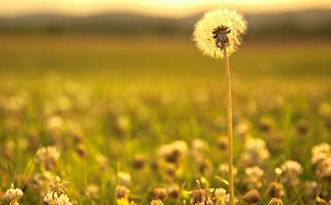 �и����Ժ��ѹ�Ӣˮ��