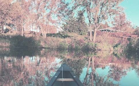 �и��＾��ʳ�ƻ�