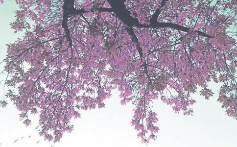 �и��＾��̥Ҫע������Ҫ��