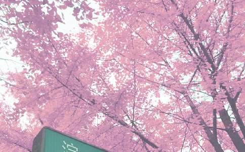 �＾�и����Գ��Ͳ���