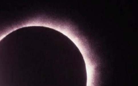 Ϊ�и����Ƶ�ÿ��ʳ��һ��