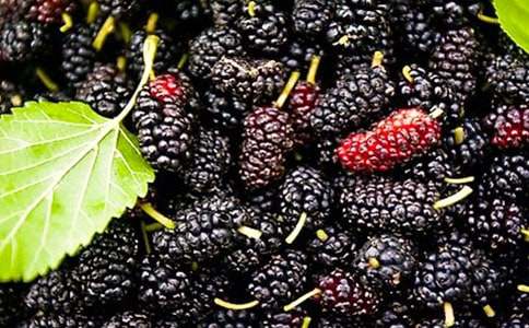 �и��ܳ�ɣ����(��ѡ)