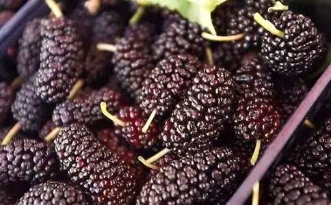 ���ϼ����и��ܳ�ɣ����