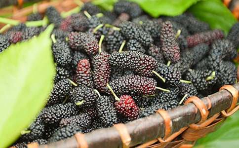 (��)�и��ܳ�ɣ����