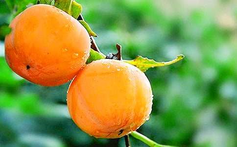 �μ����Ӵ���