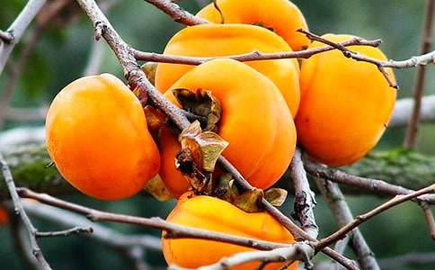 �и��ܷ��������