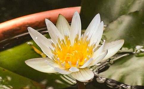 �μ�˯���ں���