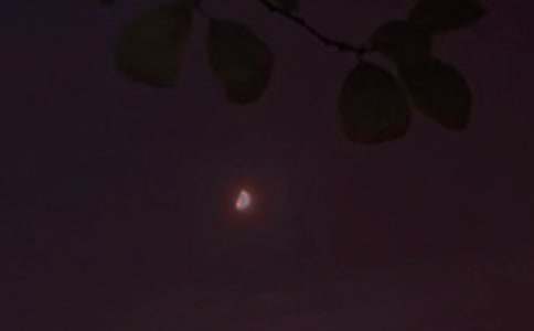 ��ѡ����������������56��