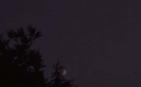 ����Ψ��������������¼40��