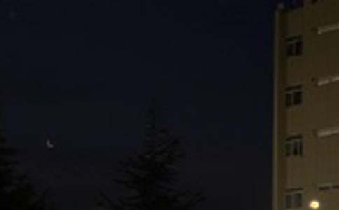 ��ѡ�������������65��