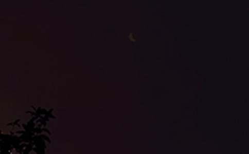 �������������������ȫ85�侫ѡ