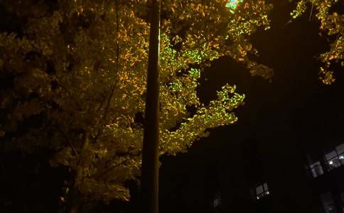 2026���̵����õ�����������¼����52��