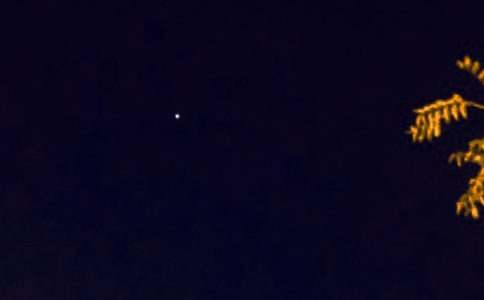 2026���й��������������ϼ�66��