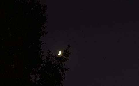 ����������������¼65�侫ѡ