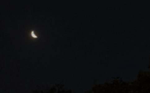 �й�����������¼����54��