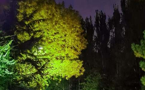 ����������¼���ܣ���ѡ175�䣩