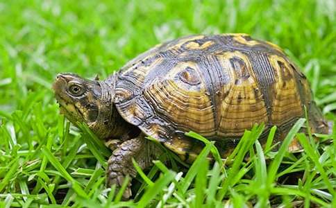 �μ����ڹ�˵��