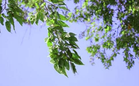 �����������簲������ȫ100�侫ѡ