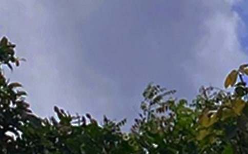 �����������簲����40�侫ѡ