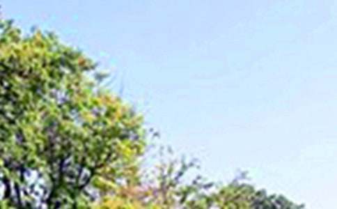 经典正能量午安鸡汤大全(精选100句)