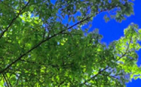 �������簲���70��