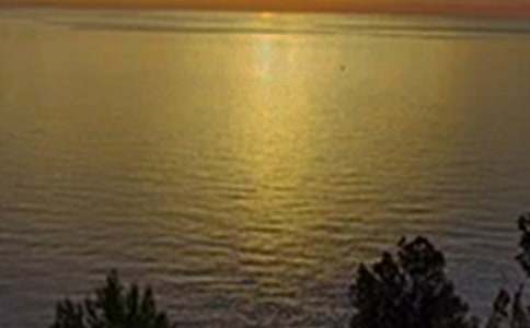 �����������簲�̾䣨ͨ��50�䣩