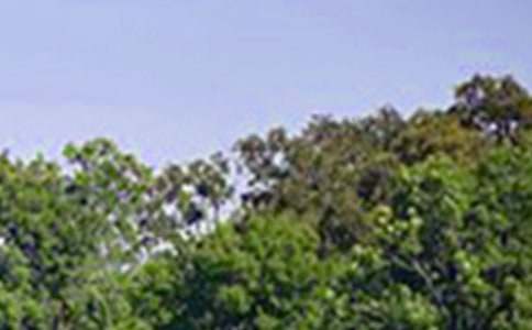 �������簲����ȫ��ͨ��70�䣩