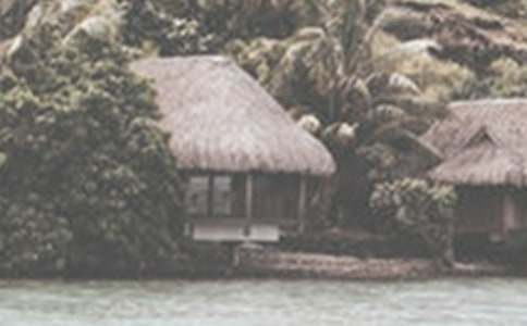 �ļ�ʳ�װ��и��ٽ�ʳ��