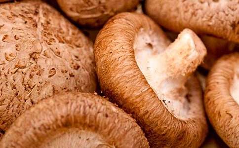 �и����Գ��㹽��