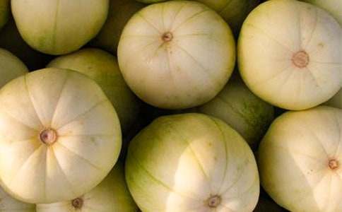 �и����Գ������