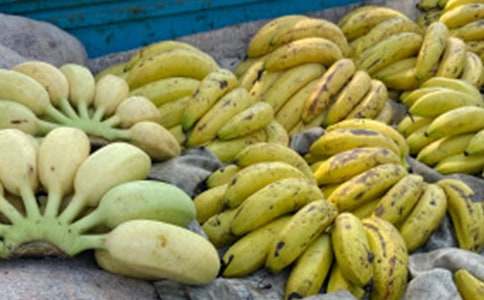 �и��μ��㽶��