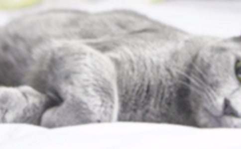 �μ�Сè�������ֱ���