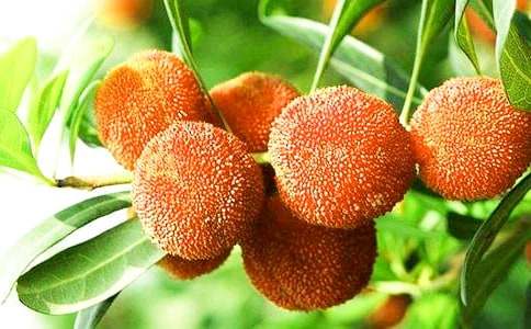 �и�����÷�����и��ܳ���÷��