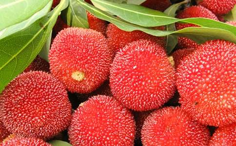 ��÷֭�и����Ժ���