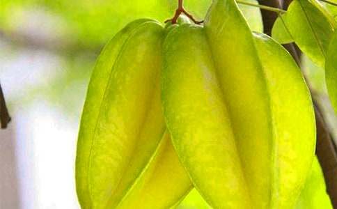 孕妇吃杨桃好吗