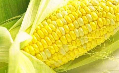 �μ�ժ����