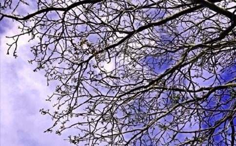 ��̵��簲��¼����68��