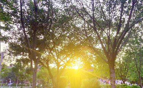 �����������簲�����ȫ����ѡ185�䣩