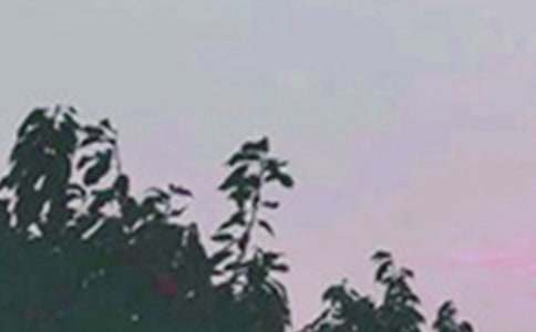 �����š�2025���°��簲������¼����55��