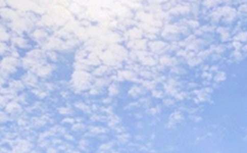 2026���簲��������伯��46��