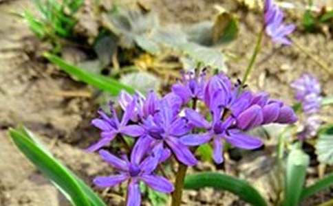 �Ƽ��������簲�����ȫ��ͨ��190�䣩