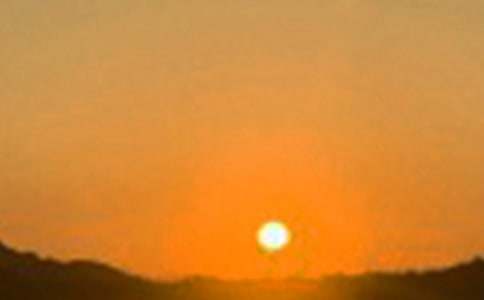 2025�곣���簲������������64��