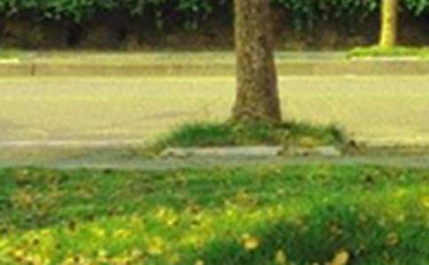 �����簲���������93��