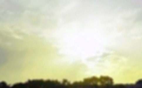 2026�꾫ѡÿ��һ���簲������¼���31��