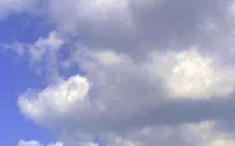 2026�꾭���簲���������ϼ�76��