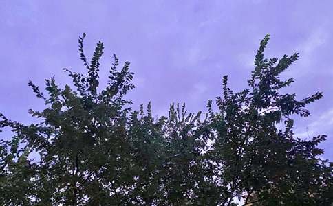 �����簲��������¼����Ȧ45��