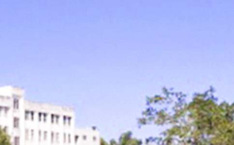 简单的早安正能量语录31句