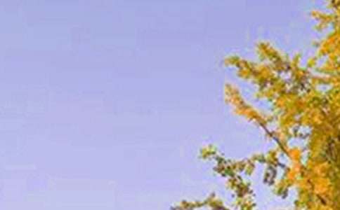 2025������簲��¼�󼯺�89��